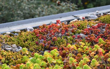 the cost of Birchden green roof installation