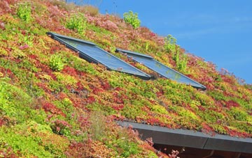 Birchden living roof systems